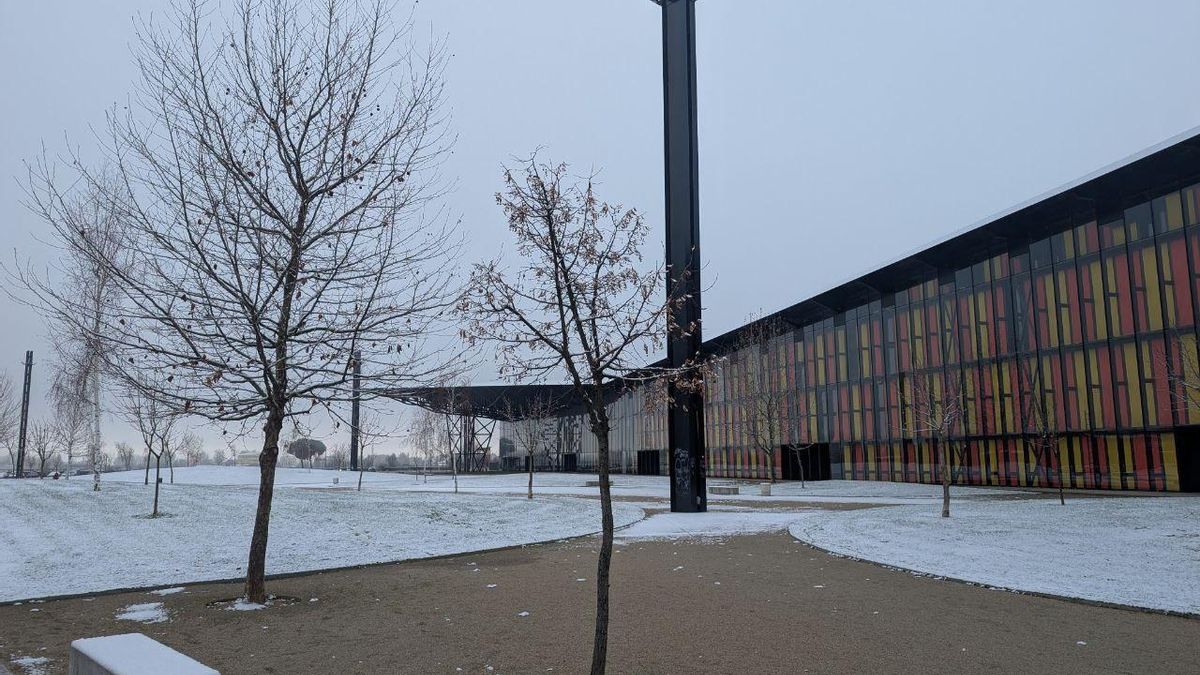 Postales de León nevado: las imágenes que deja la primera nevada del año en la capital