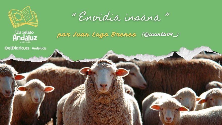 Envidia insana