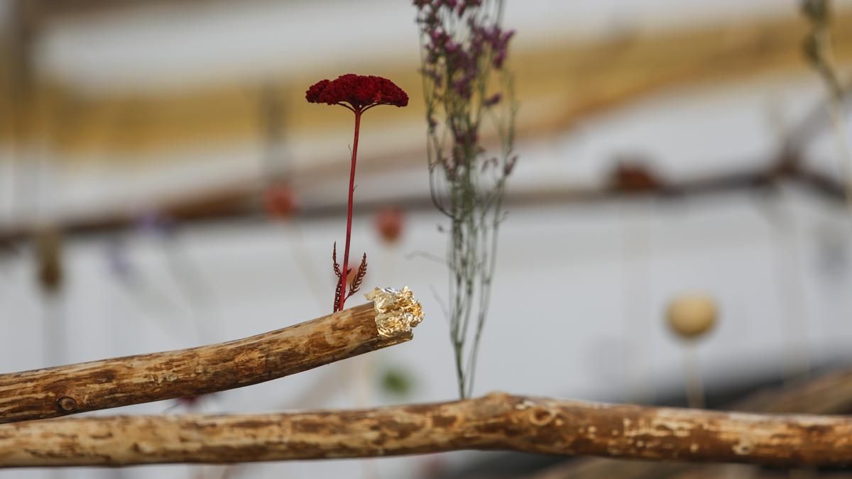 Flora 2025 - 'Arbor' (Museo Arqueológico)