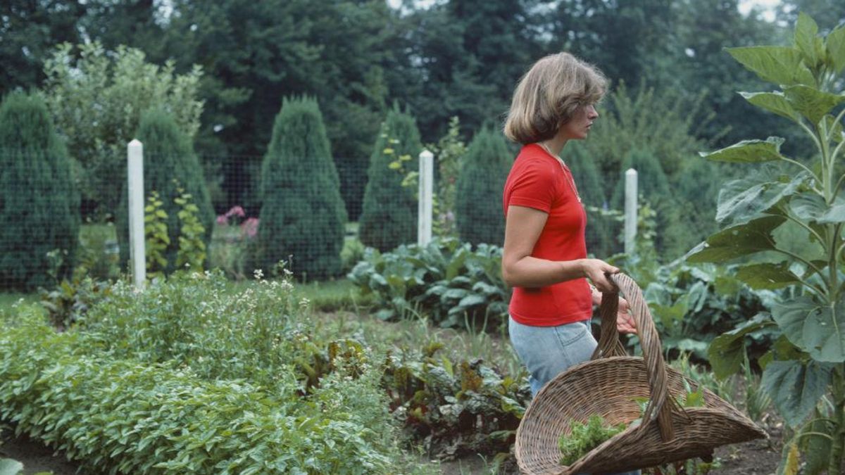 El modelo individualista de mujer exitosa que encarnaba Stewart promovía una versión conservadora del feminismo.