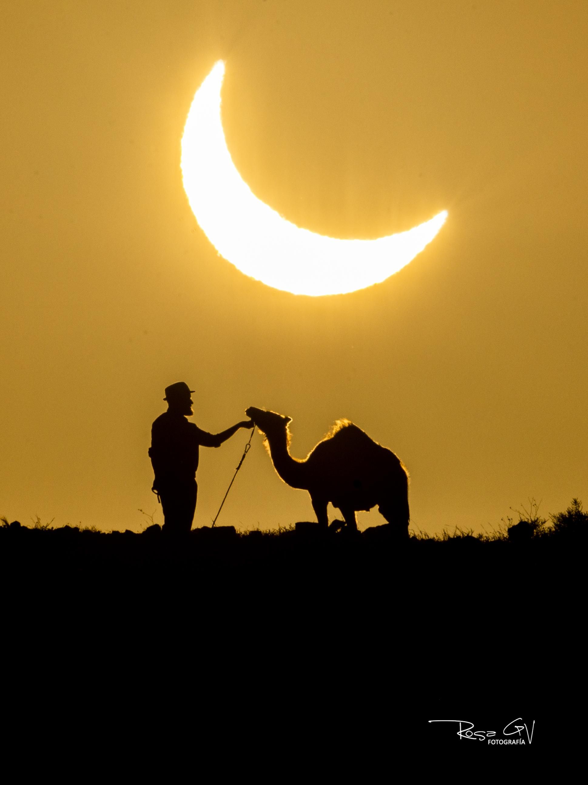 Camello y camellero durante el eclipse solar del dia 12 de Agosto de 2026.