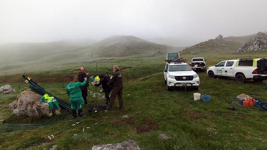 Instalación de vallados temporales para conservar los humedales en Áliva
