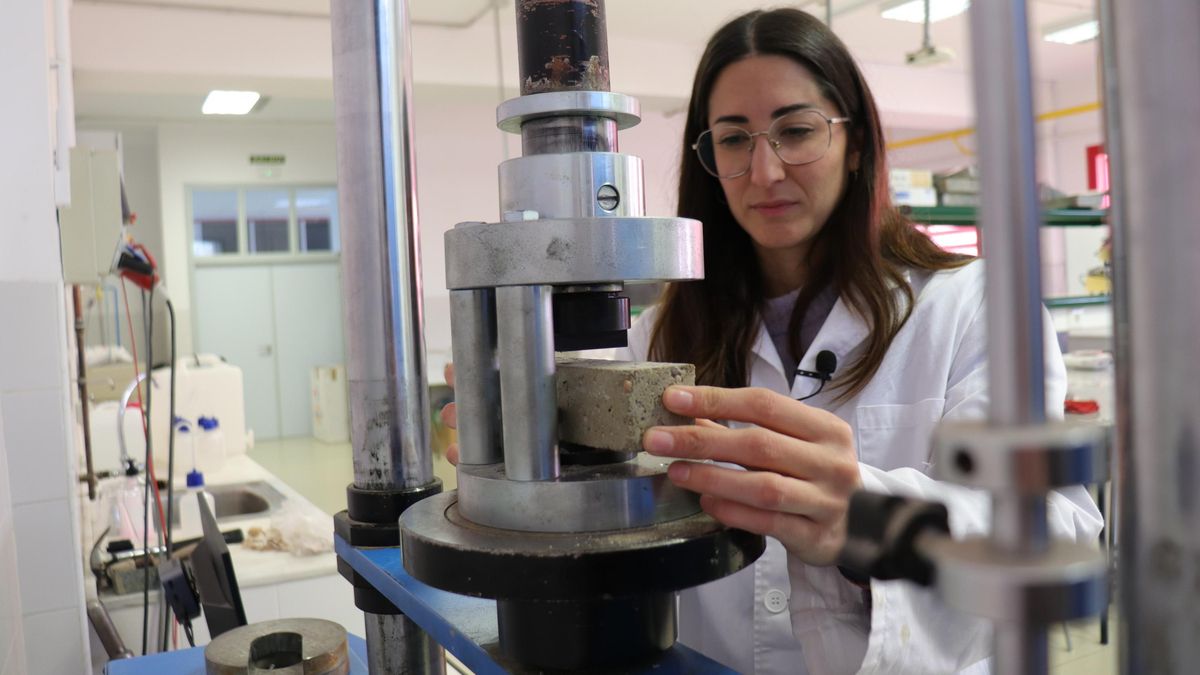La Universidad de Córdoba diseña un adoquín cien por cien reciclado a base de conchas de molusco y residuos mineros