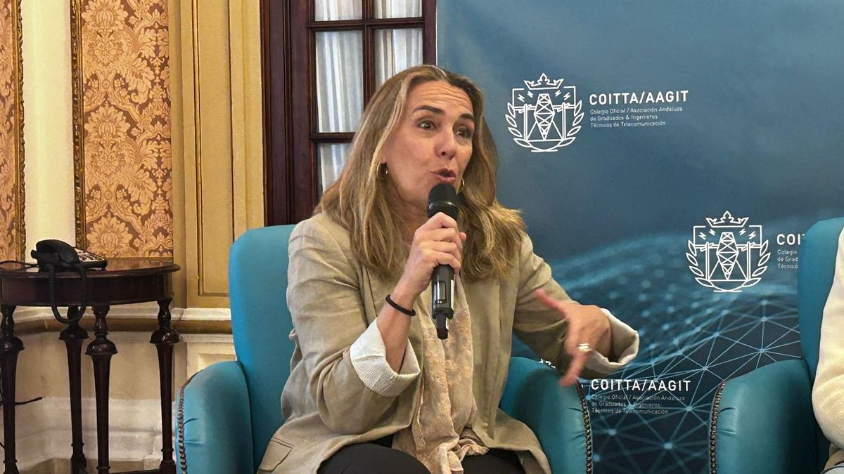 La Diputación de Sevilla apoya al Colegio Oficial de Ingenieros Técnicos de Telecomunicación en su jornada 'Gobernar el sonido'