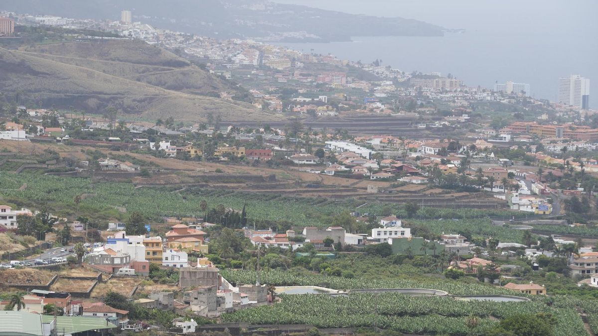 Presencia de calima en el valle de La Orotava este pasado jueves, 14 de agosto.