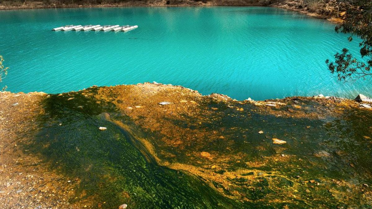 Greenpeace alerta de la contaminación de ríos cercanos a Aznalcóllar 28 años después del vertido minero de Boliden