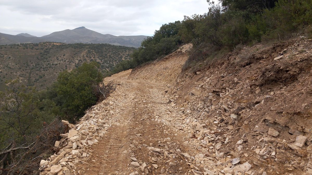 El impacto de las pistas forestales