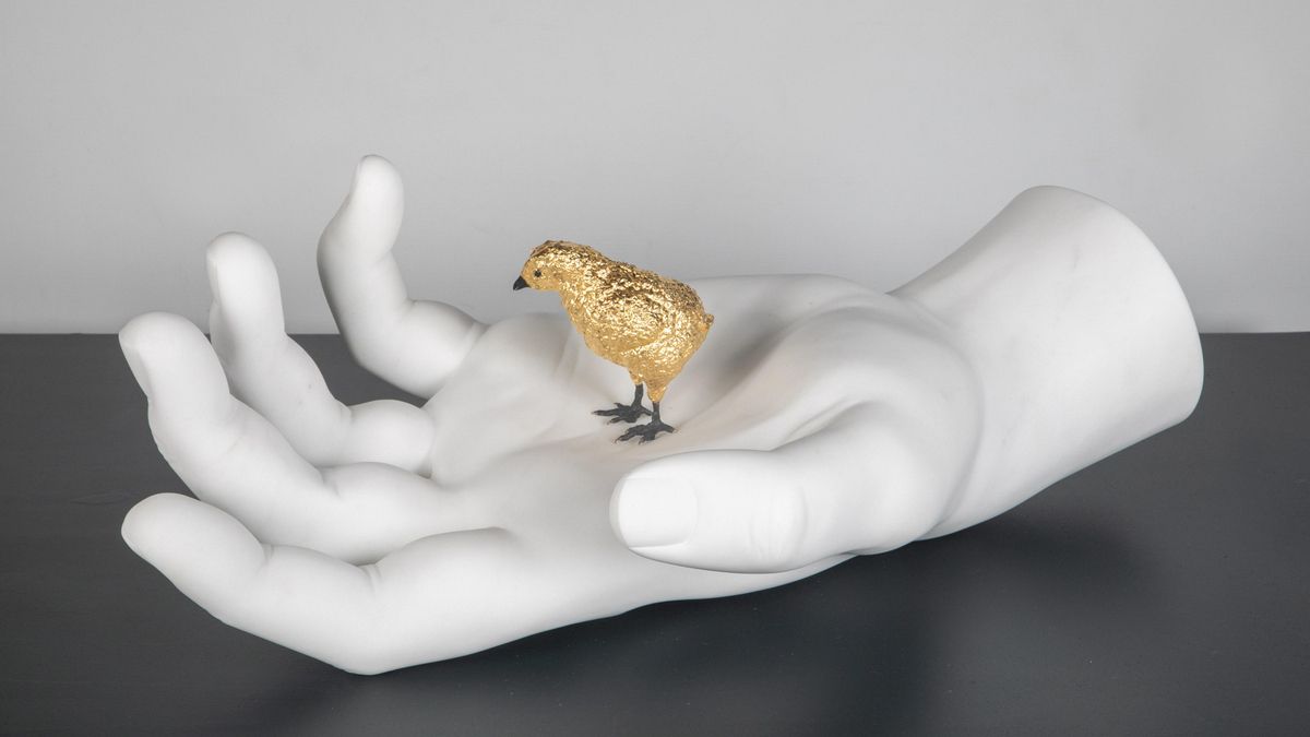 Arte parece, gallina es