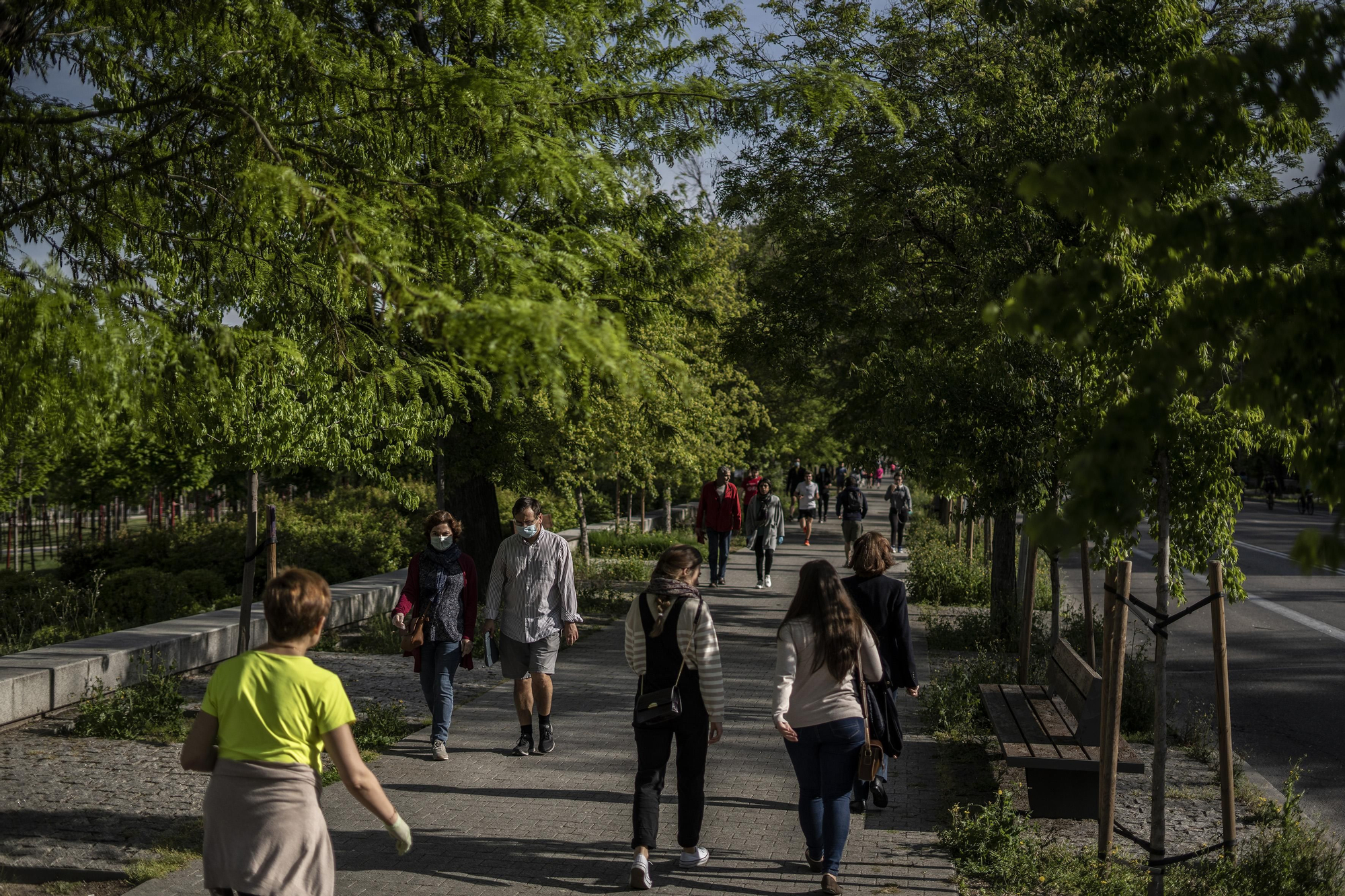 Varias personas paseando en el Paseo de la Virgen del Puerto
