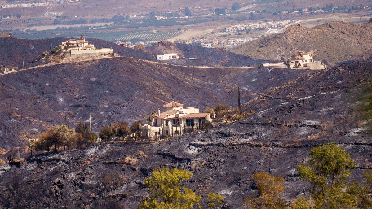 Accesos seguros, autoprotección y limpieza: las medidas de prevención frente a incendios como el de Almería