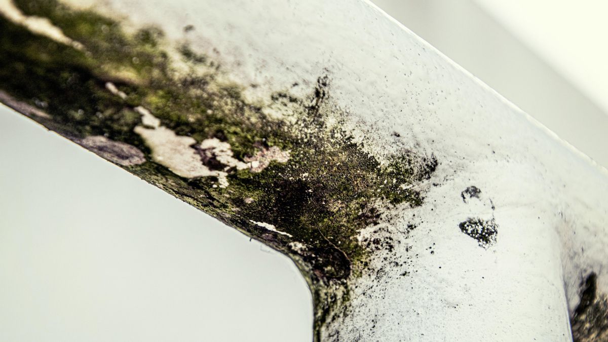 Cómo aprovechar los kits absorbentes de humedad para evitar la aparición de moho en invierno