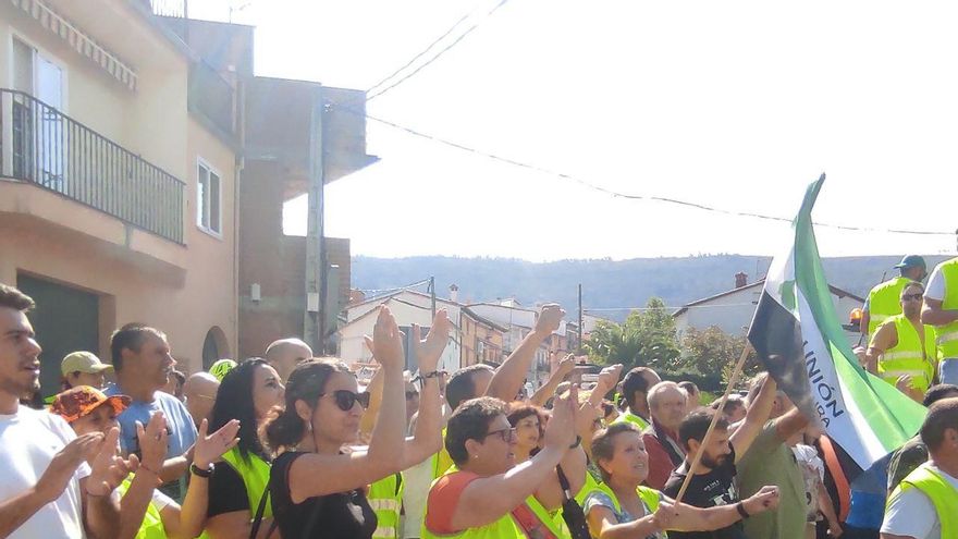 Agricultores cacereños: "No podemos vender aceitunas para perder dinero"