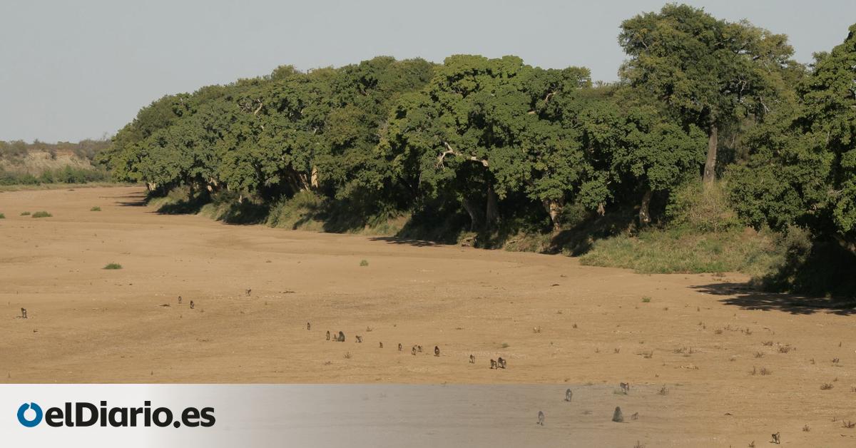 Varios intentos humanos por abandonar África terminaron fallando y ahora una investigación explica por qué se borraron del rastro histórico