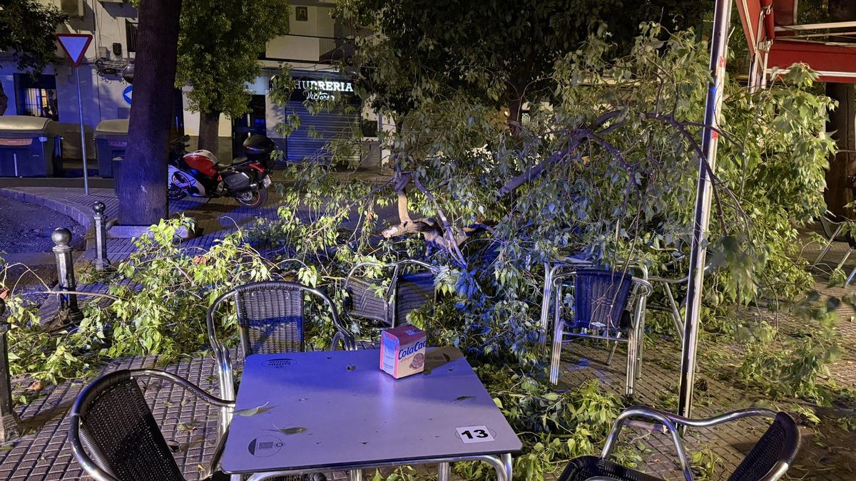 Una gran rama cae sobre la terraza de un bar en plena noche