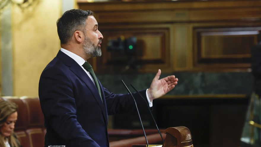 El líder de Vox, Santiago Abascal.