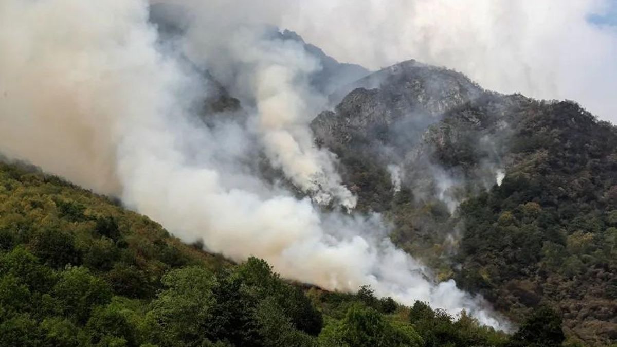 Incendio en Caunedo, en el Parque Natural de Somiedo, el pasado mes de agosto.