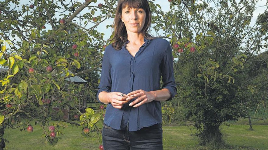 Rachel Cusk: una mirada sobre la verdad, las nuevas formas de la novela y por qué cree que ya no se necesitan más historias