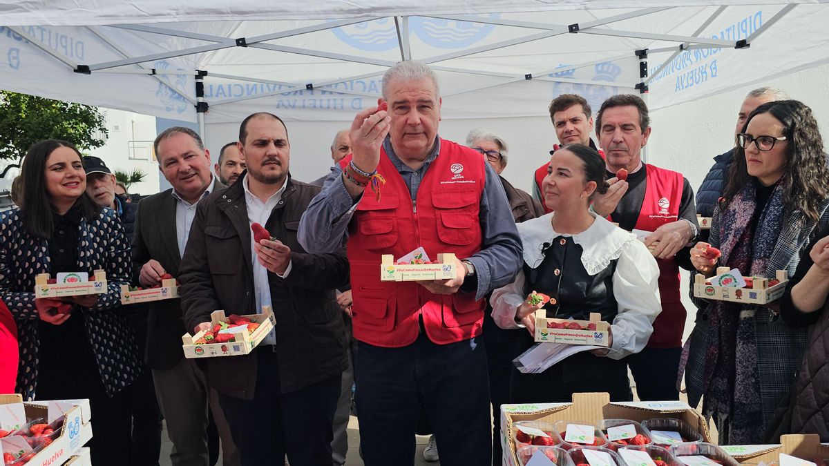 Reparto de fresas de Huelva en Adamuz.