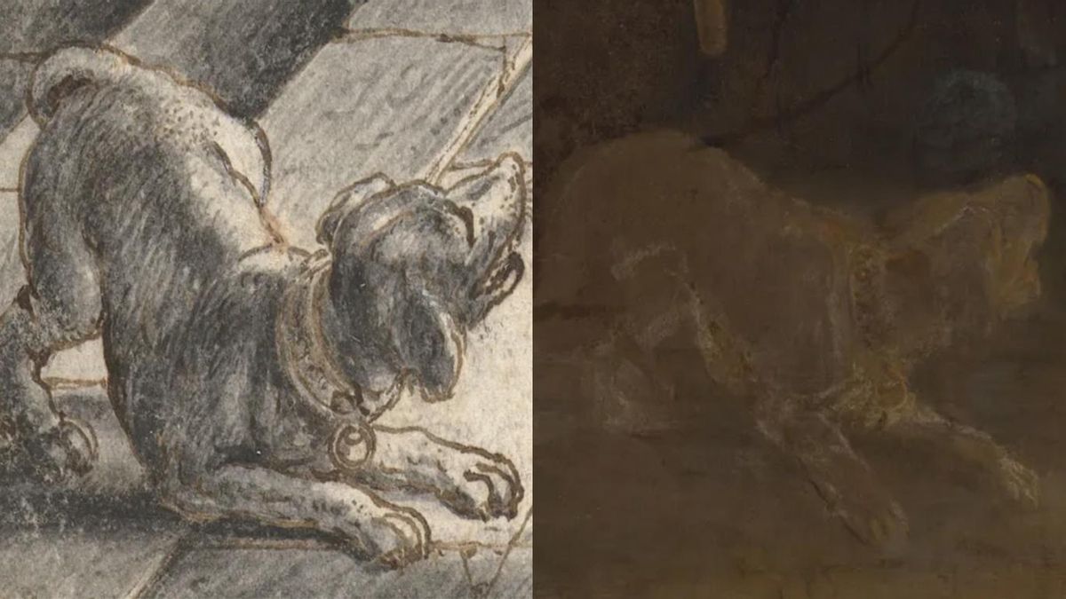 La similitud entre ambos perros es más que evidente