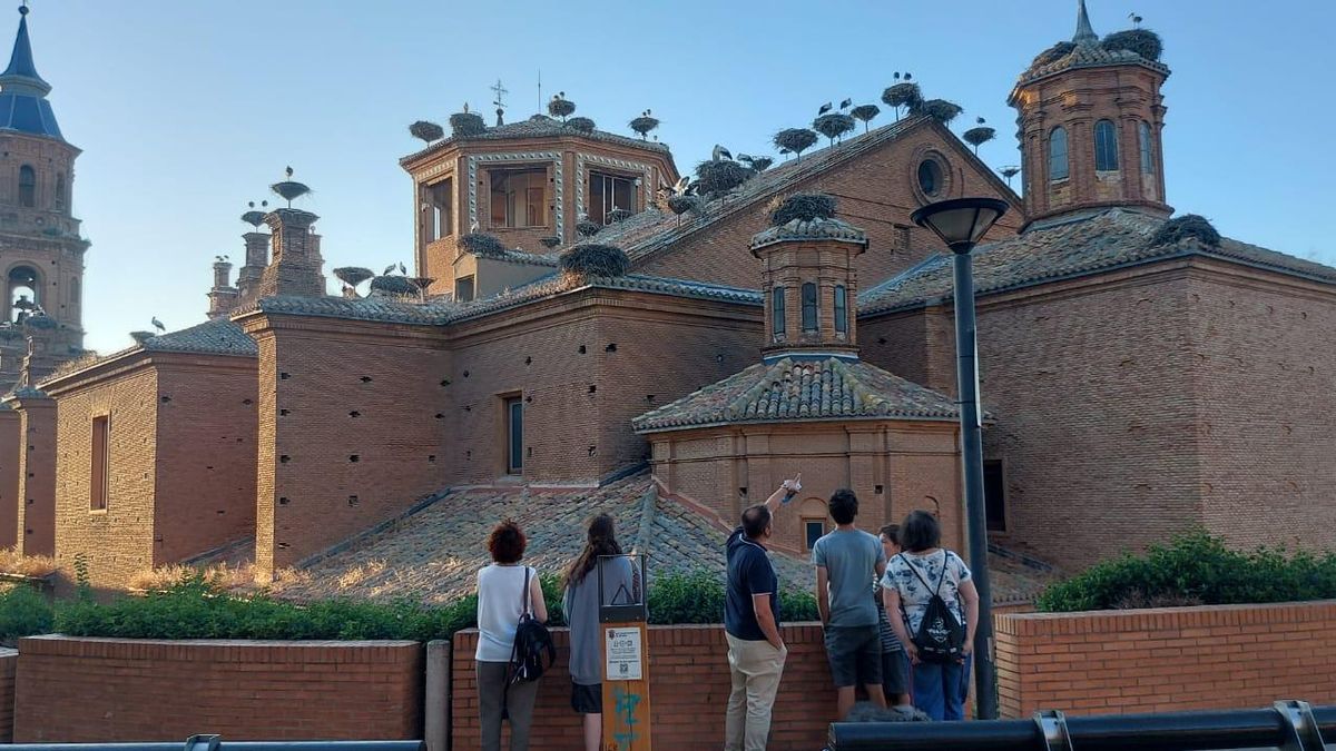 Cigüeñas en Alfaro, turismo en La Rioja