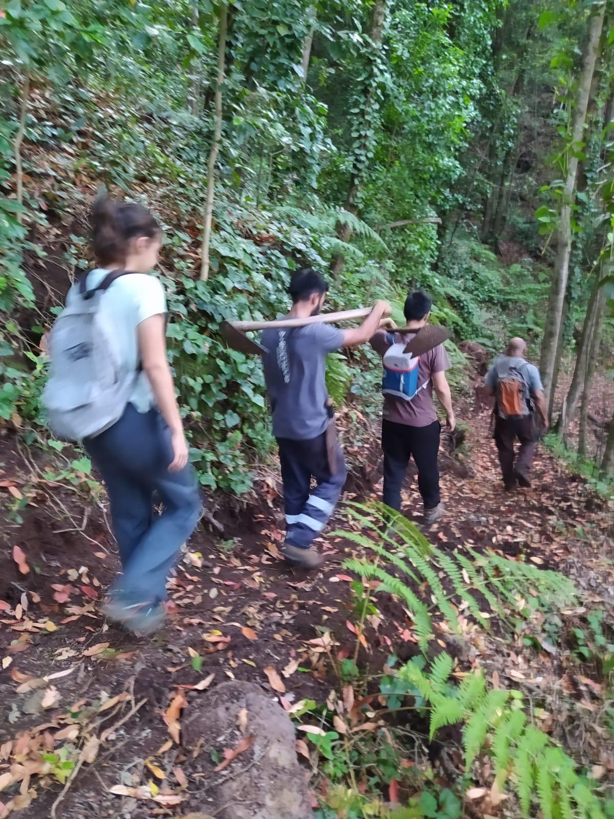 Trabajos de recuperación del camino.