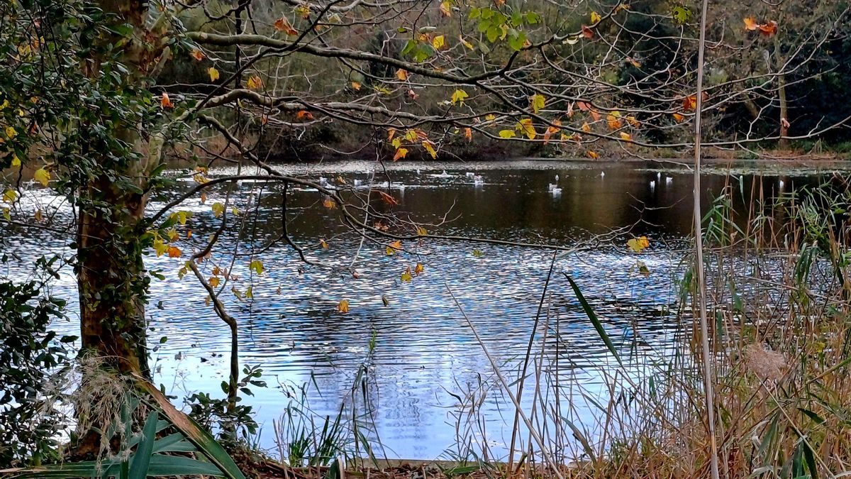 Uno de los dos lagos de La Remonta.