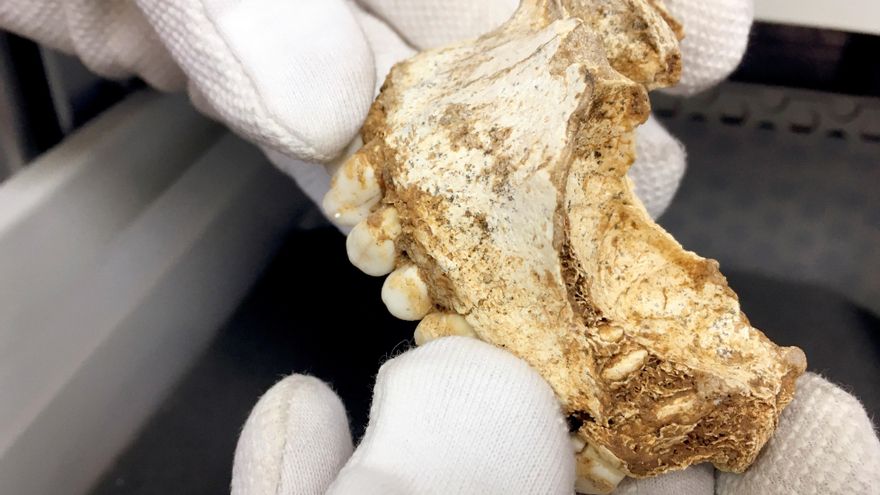 Veinte proyectos optan al II Premio Nacional de Arqueología y Paleontología