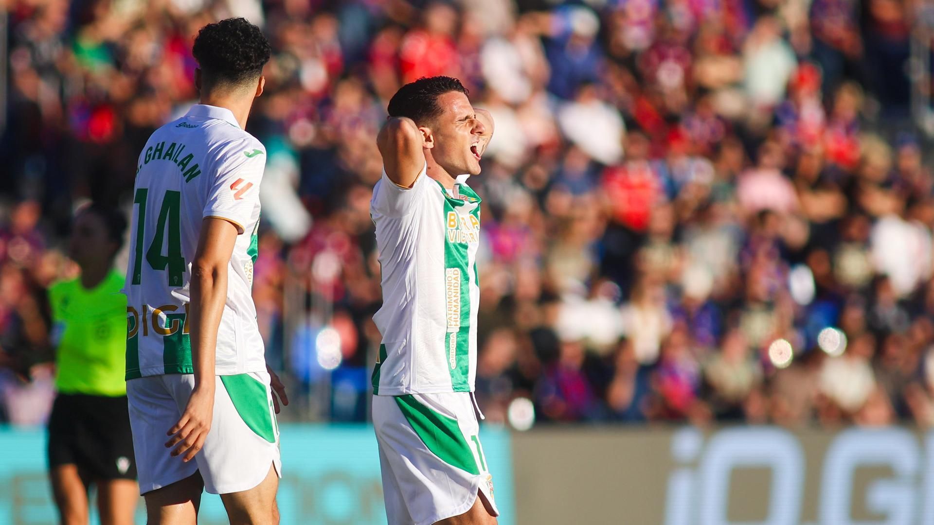 El CD Eldense - Córdoba CF, en imágenes