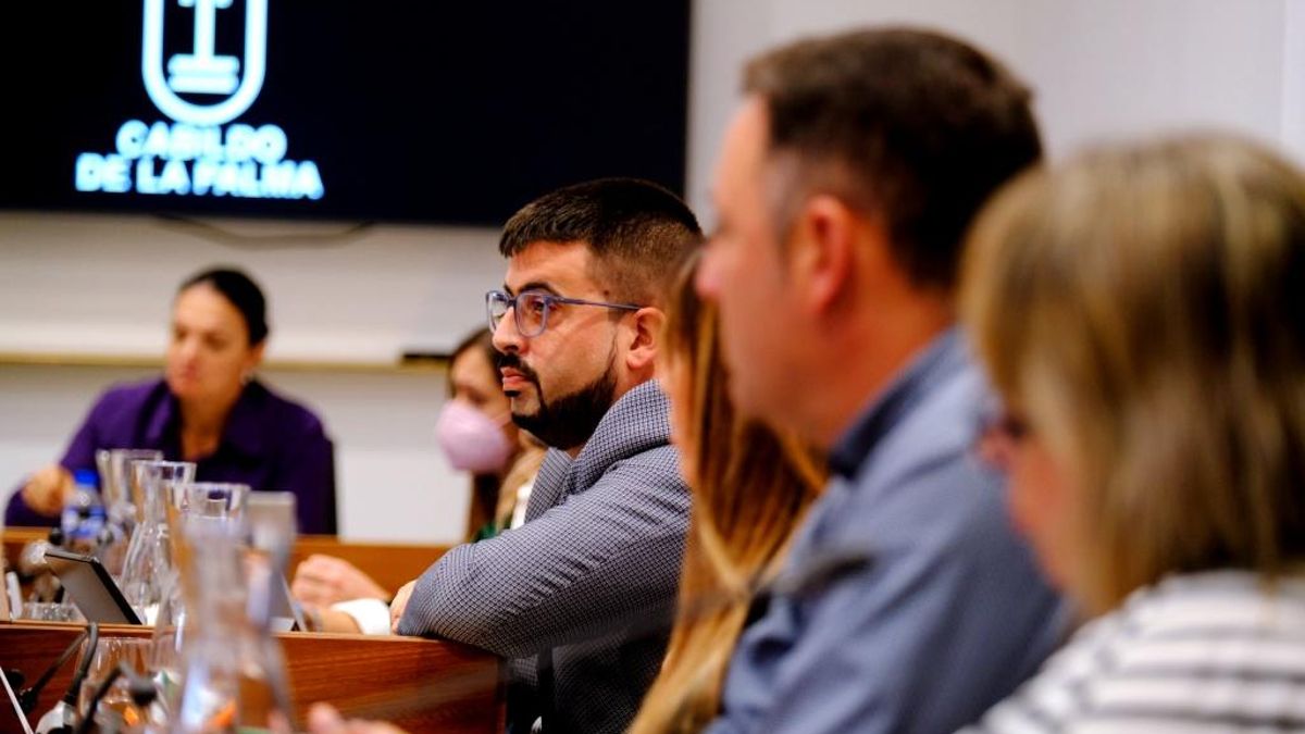 Grupo Socialista del Cabildo.