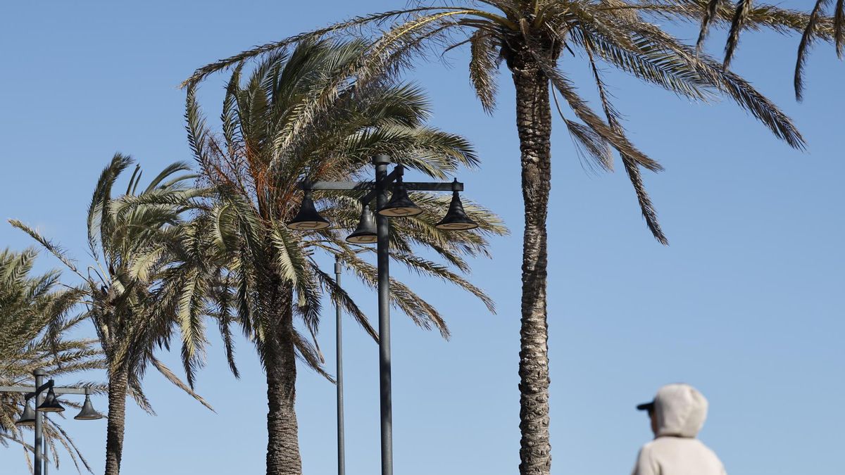 La alerta por viento se rebaja a amarilla en la Comunitat Valenciana tras rachas de hasta 172 km/h