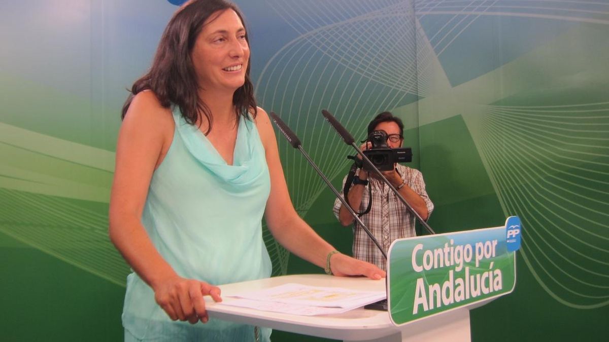 PP-A urge a la Junta que explicar en el Parlamento "dónde están los más  8.000 millones no ejecutados entre 2005 y 2014"