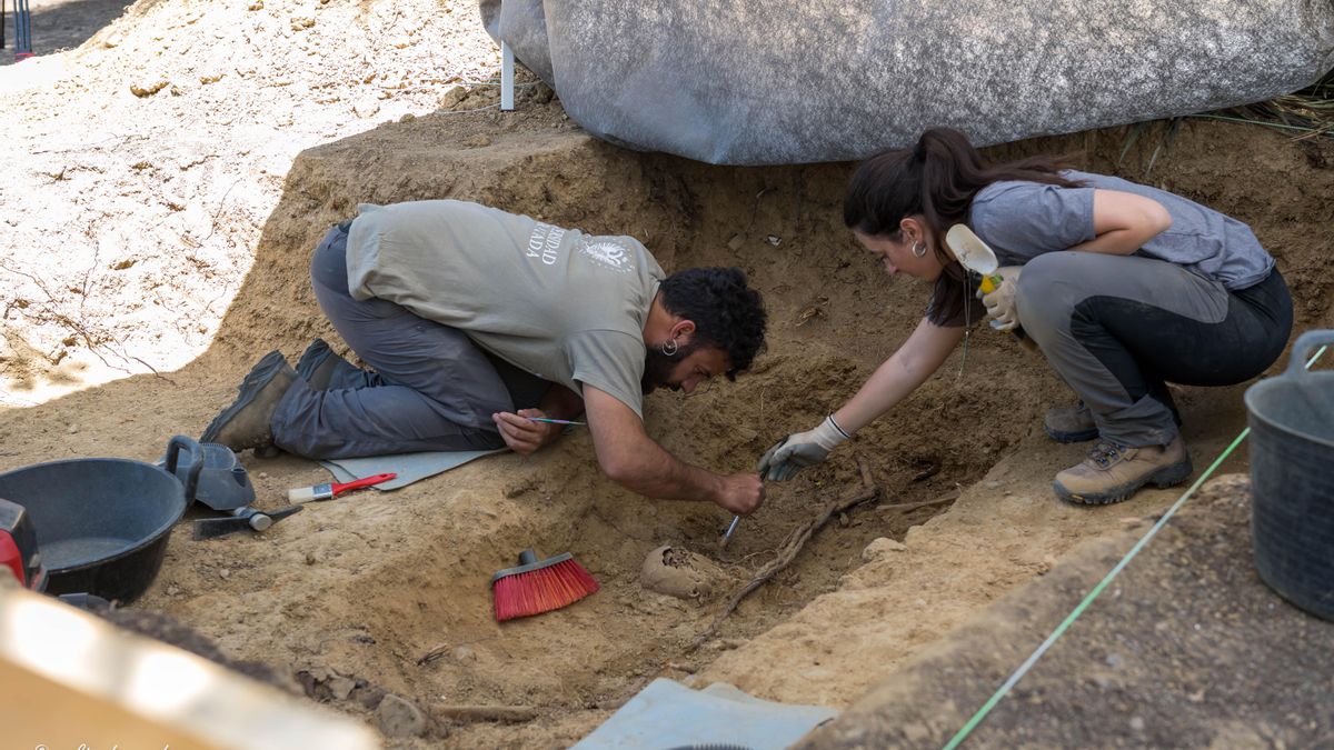 El hallazgo de una fosa común del franquismo en Badajoz obliga a reescribir el Mapa de la Memoria de Extremadura