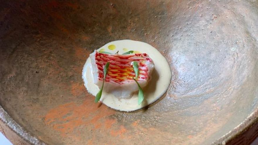 Vieja en gazpachuelo