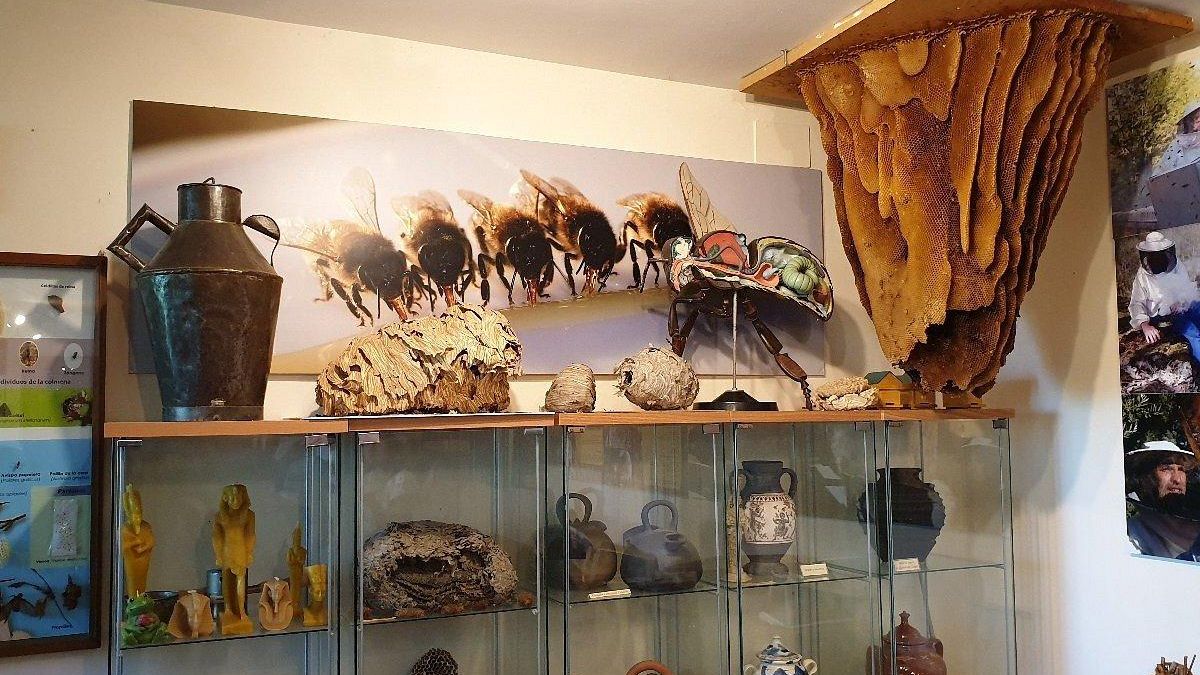 El museo pone de manifiesto cómo el alimento, la medicina, el alumbrado y la cultura humana han estado ligados a las abejas