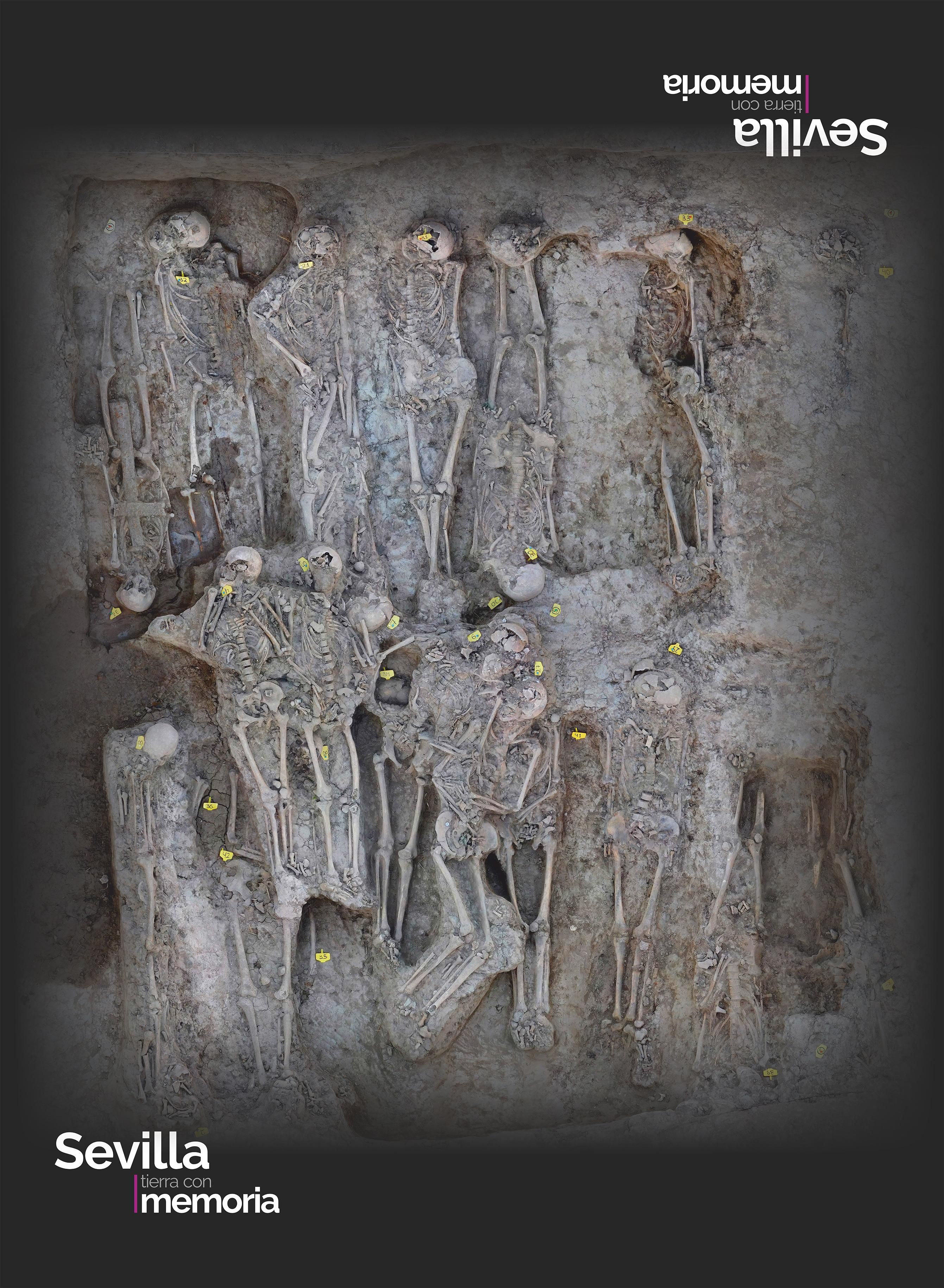 000_SVQ_Tierra_Memoria_/032_lona_suelo_Sev_Tierra_Memoria