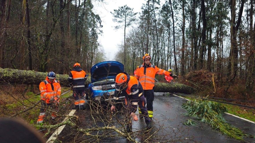 La borrasca Nils deja cerca de 800 incidencias en Galicia, la mayoría por caídas de árboles