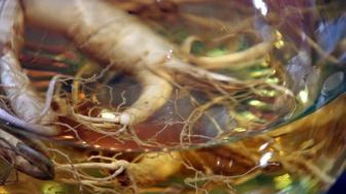 ¿Qué es el ginseng y por qué ahora la gente se lo pone hasta en el café?