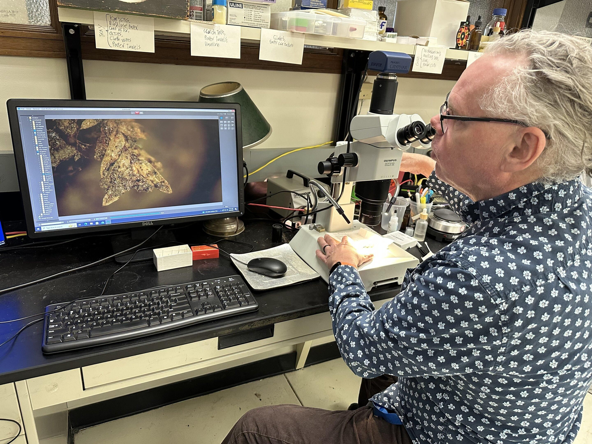 El autor principal, Matt von Konrat, en su laboratorio del Museo Field, examinando los diminutos fragmentos de musgo hallados junto a los cuerpos reenterrados en el Cementerio de Burr Oak en 2009