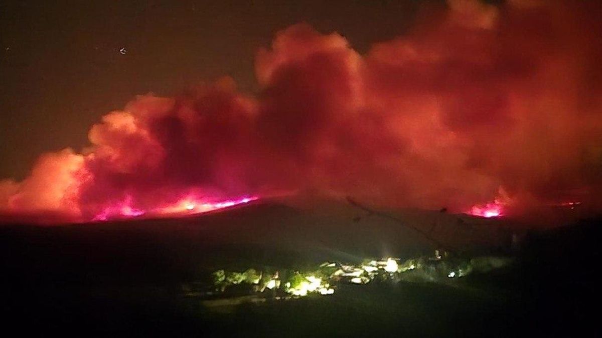 El fuego en la zona de La Nava de Jadraque