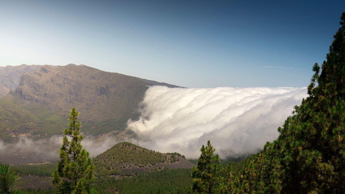La Palma mantiene su apuesta por un modelo turístico sostenible en las primeras jornadas ‘Origen vivo’
