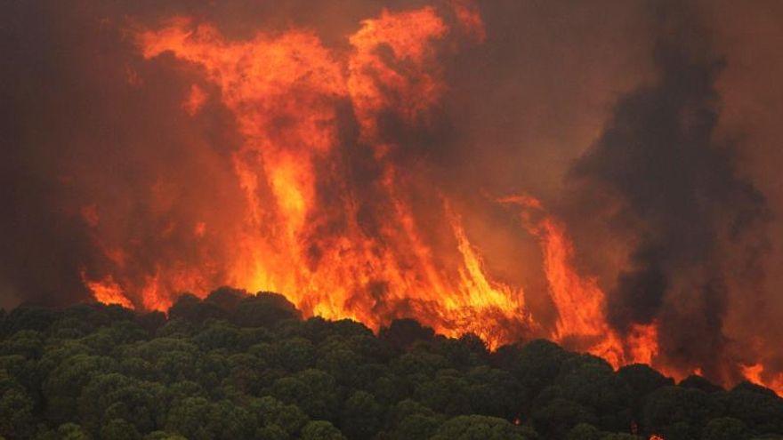 Activado nivel 1 de Emergencias por incendio declarado en Nerva (Huelva)