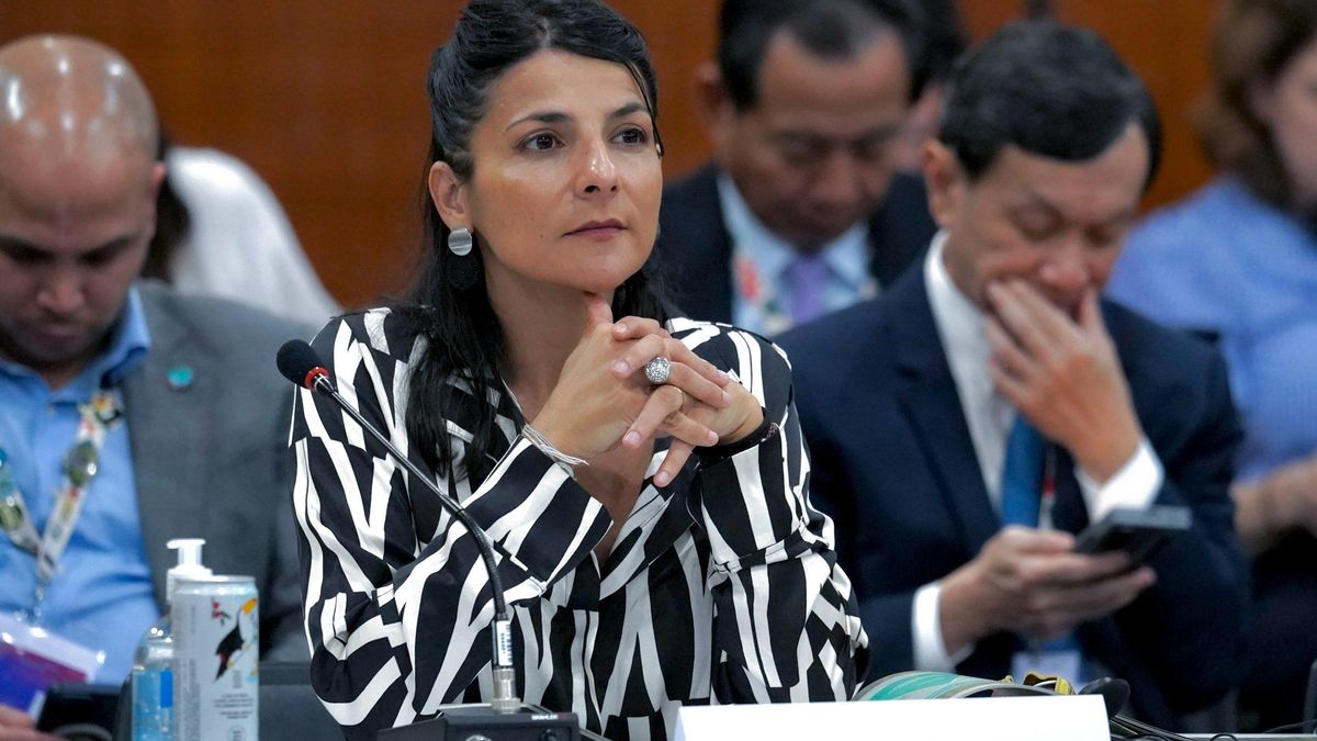 El encuentro internacional, organizado por Colombia y el Reino de Países Bajos, se realizará en Santa Marta del 24 al 29 de abril. En la imagen, la ministra de Ambiente Irene Vélez. Foto: Ministerio de Ambiente y Desarrollo Sostenible