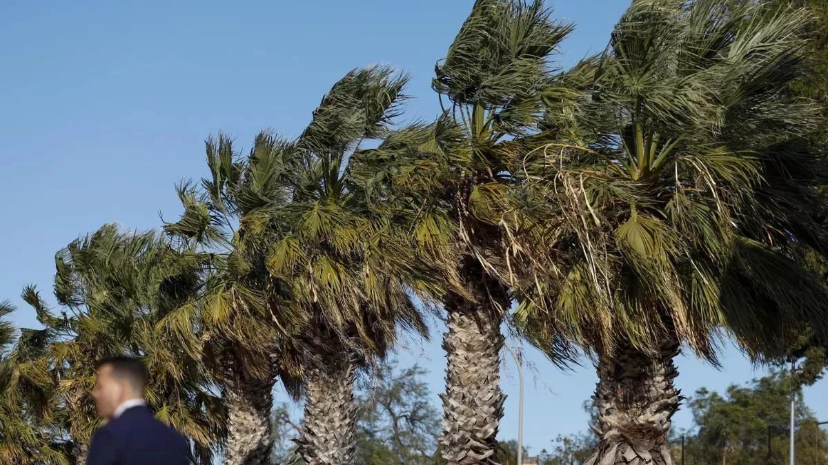 Alisio fuerte y cielos nubosos este lunes en Canarias