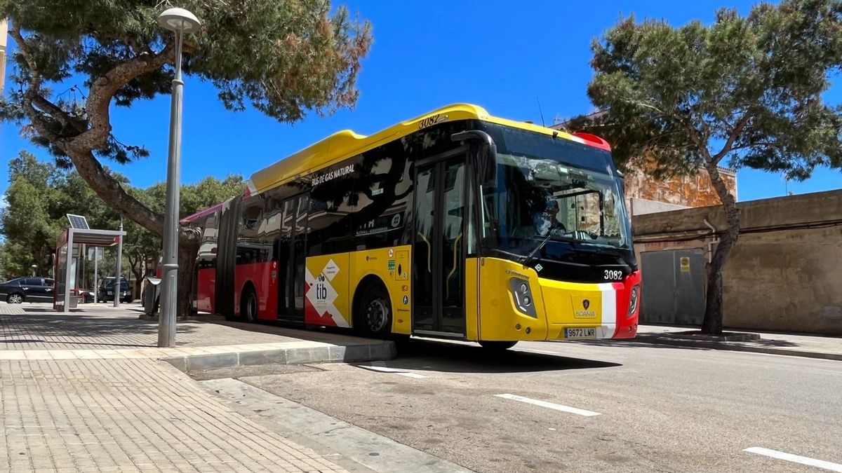 Mor un home en caure-li a sobre un fanal tombat per un autobús del TIB a Mallorca
