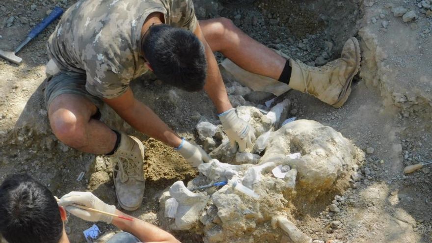 La nueva Ley de Patrimonio de Castilla y León no protege los restos fósiles de dinosaurios