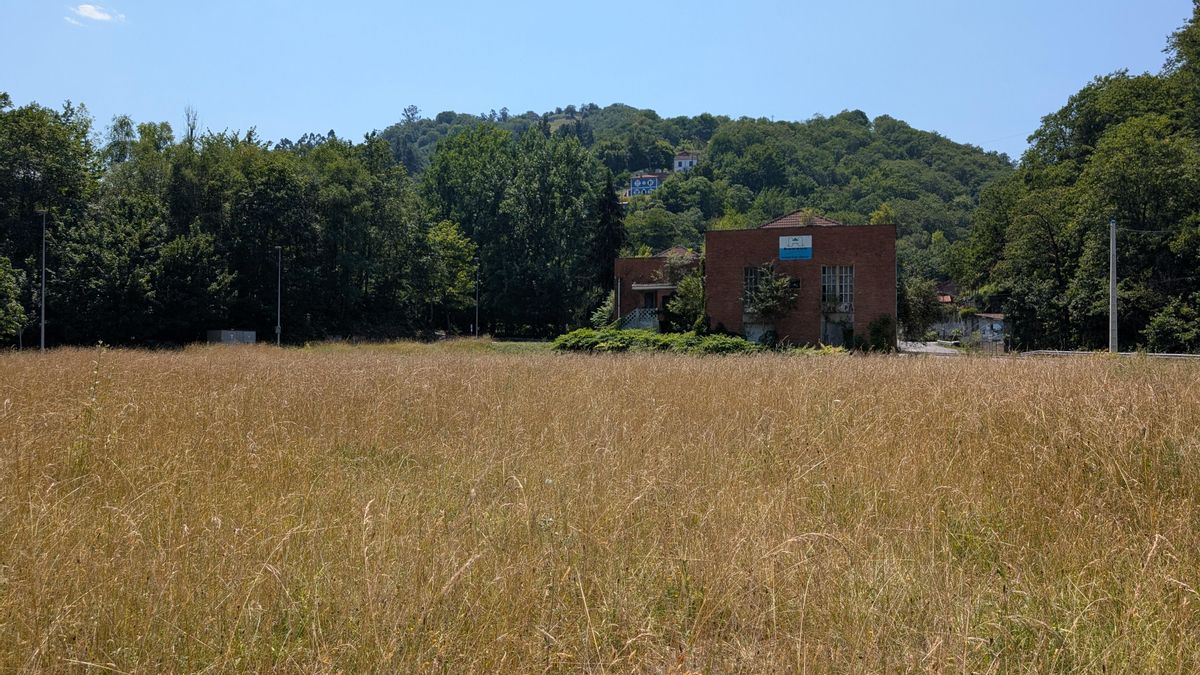Pradera urbana