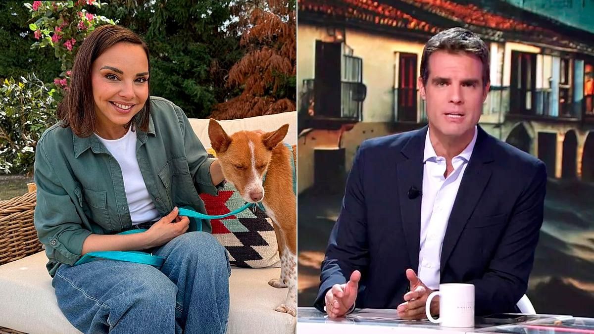 'Dog House' y 'Código 10'