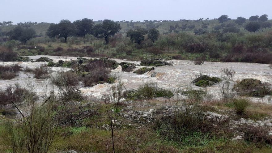 Arroyo Grande en Logrosán, este domingo