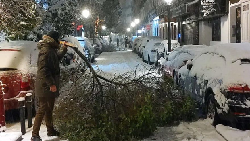 Ramas de árboles caídas en la calle Manuela Malasaña