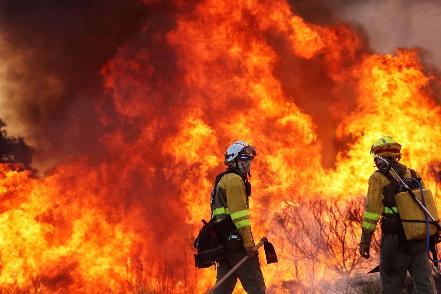 Bomberos Forestales frente a las llamas.